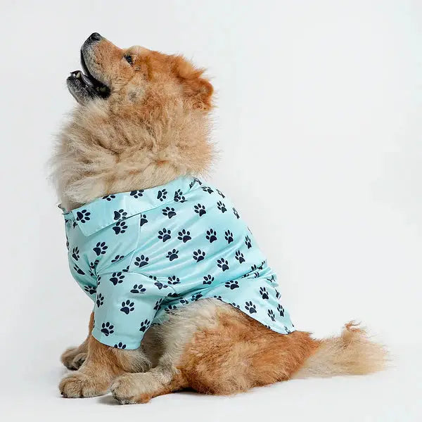  Pet Shirts for Dogs - Petspalz Petspalz