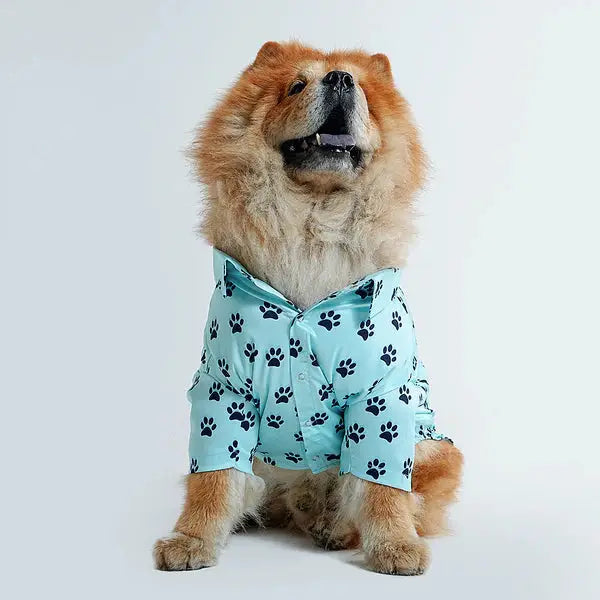  Pet Shirts for Dogs - Petspalz Petspalz