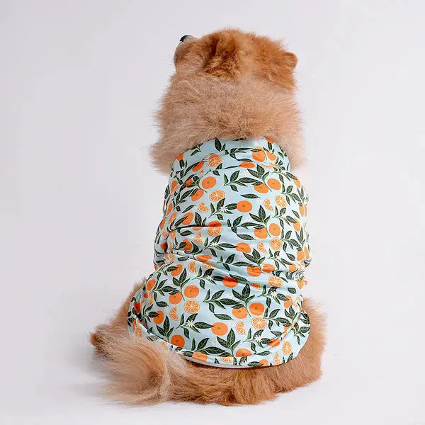  Pet Shirts for Dogs - Petspalz Petspalz