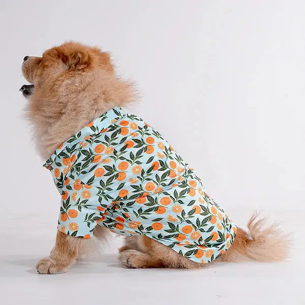  Pet Shirts for Dogs - Petspalz Petspalz