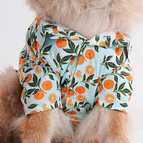  Pet Shirts for Dogs - Petspalz Petspalz