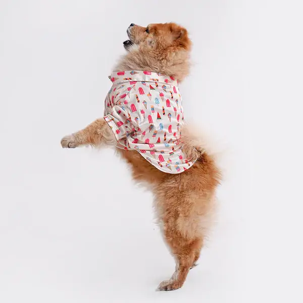  Pet Shirts for Dogs - Petspalz Petspalz