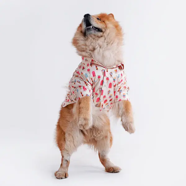  Pet Shirts for Dogs - Petspalz Petspalz