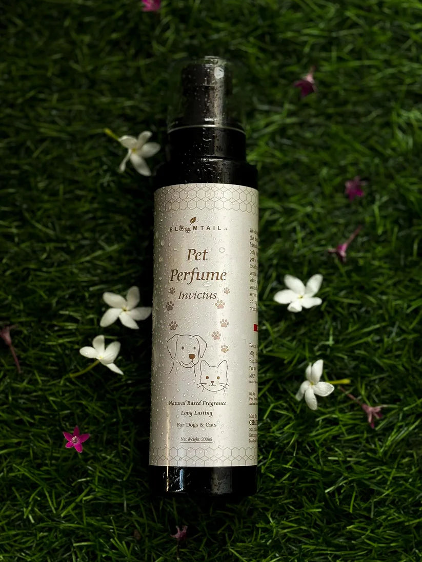 Pet Perfume – Invictus Inspired 200ml for Dogs : Petspalz