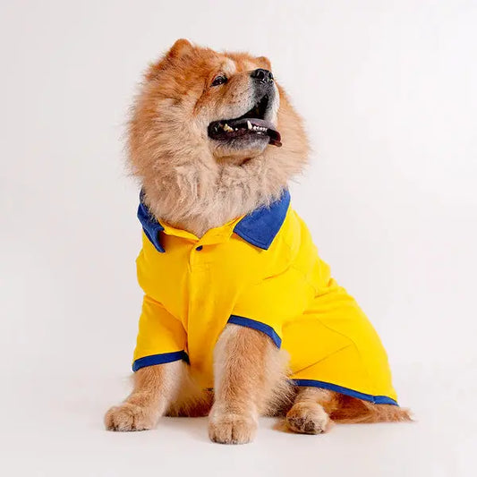  Polo Dog Tshirt For all Dog Sizes and Breeds  Petspalz