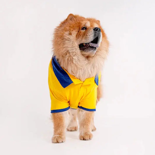 Polo Dog Tshirt For all Dog Sizes and Breeds  Petspalz