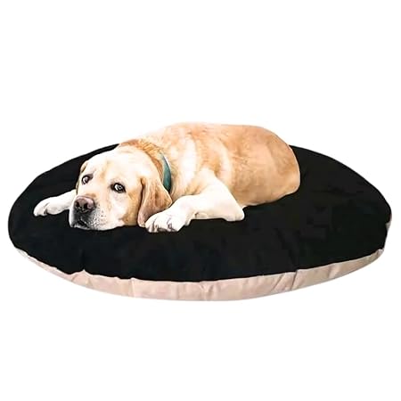  Polyester Pet Bed – Soft & Washable Dog & Cat | Indoor & Outdoor Use Petspalz