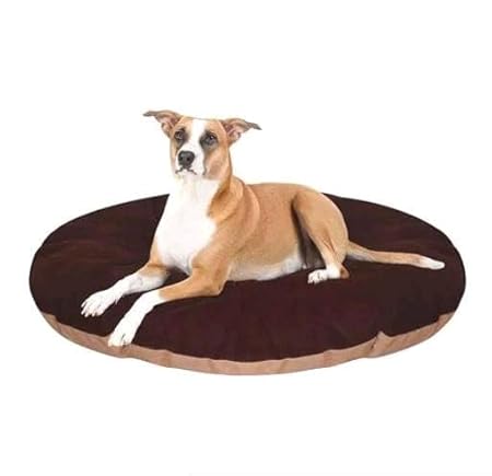  Polyester Pet Bed – Soft & Washable Dog & Cat | Indoor & Outdoor Use Petspalz