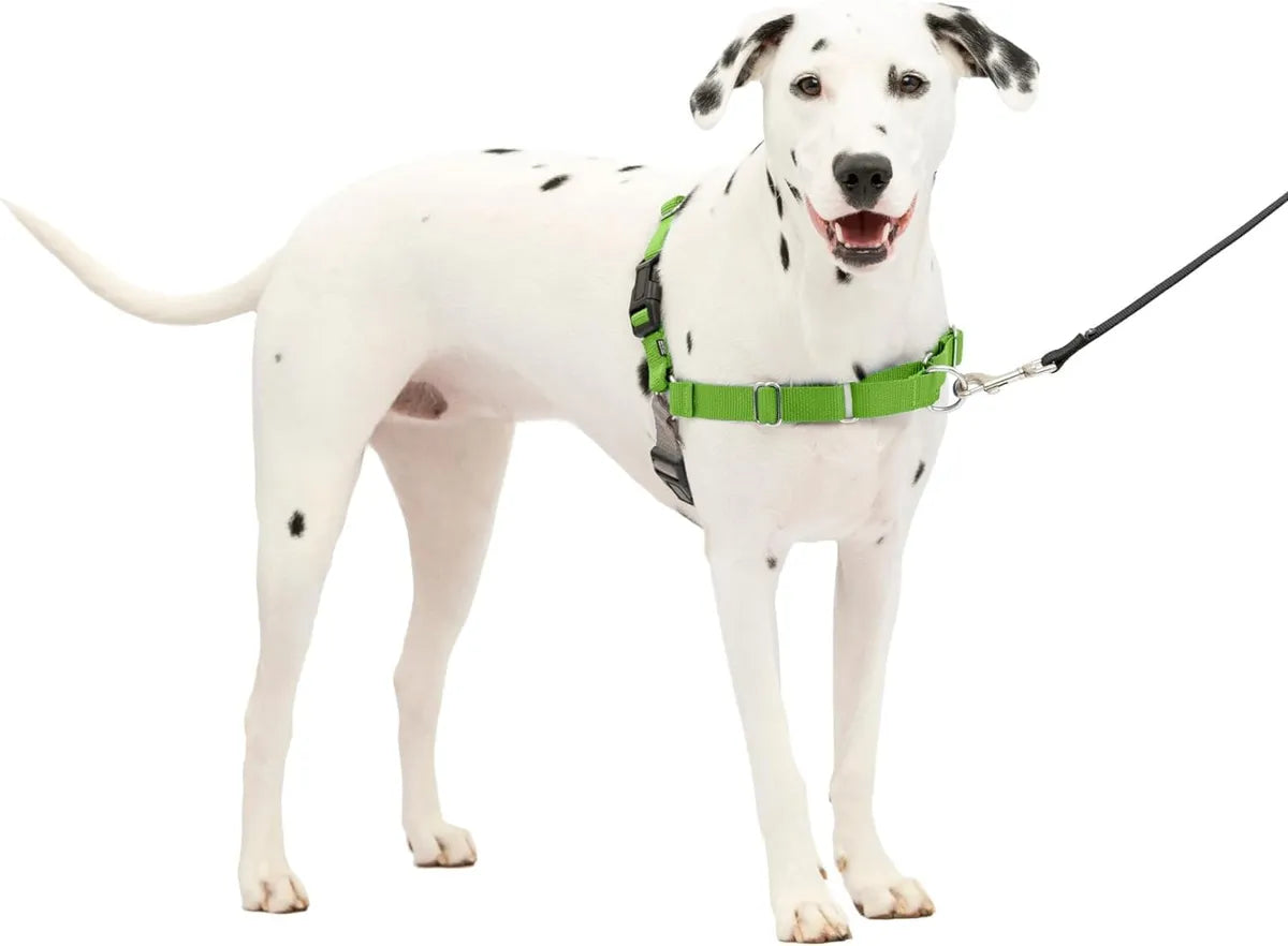  Premium No-Pull Dog Harness with Leash | Adjustable & Comfortable Petspalz