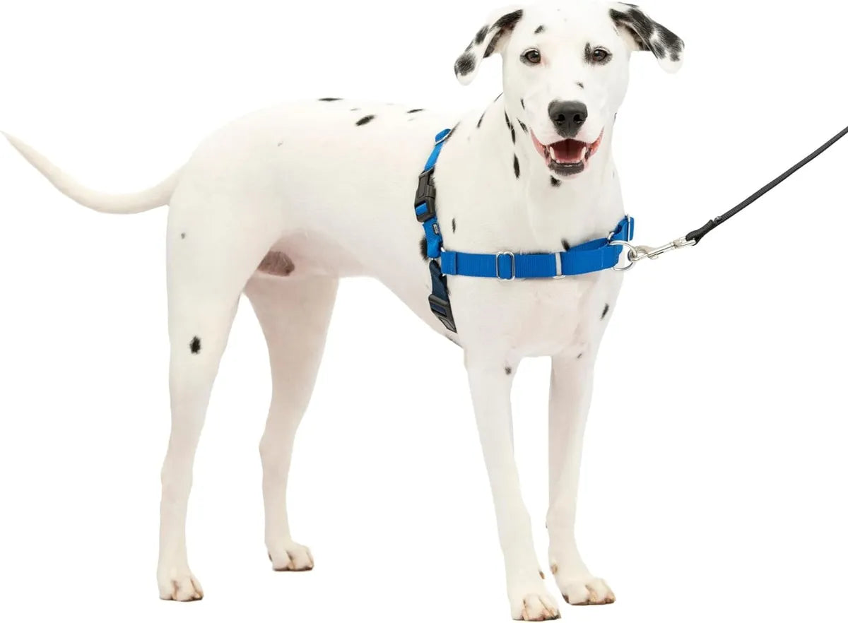  Premium No-Pull Dog Harness with Leash | Adjustable & Comfortable Petspalz