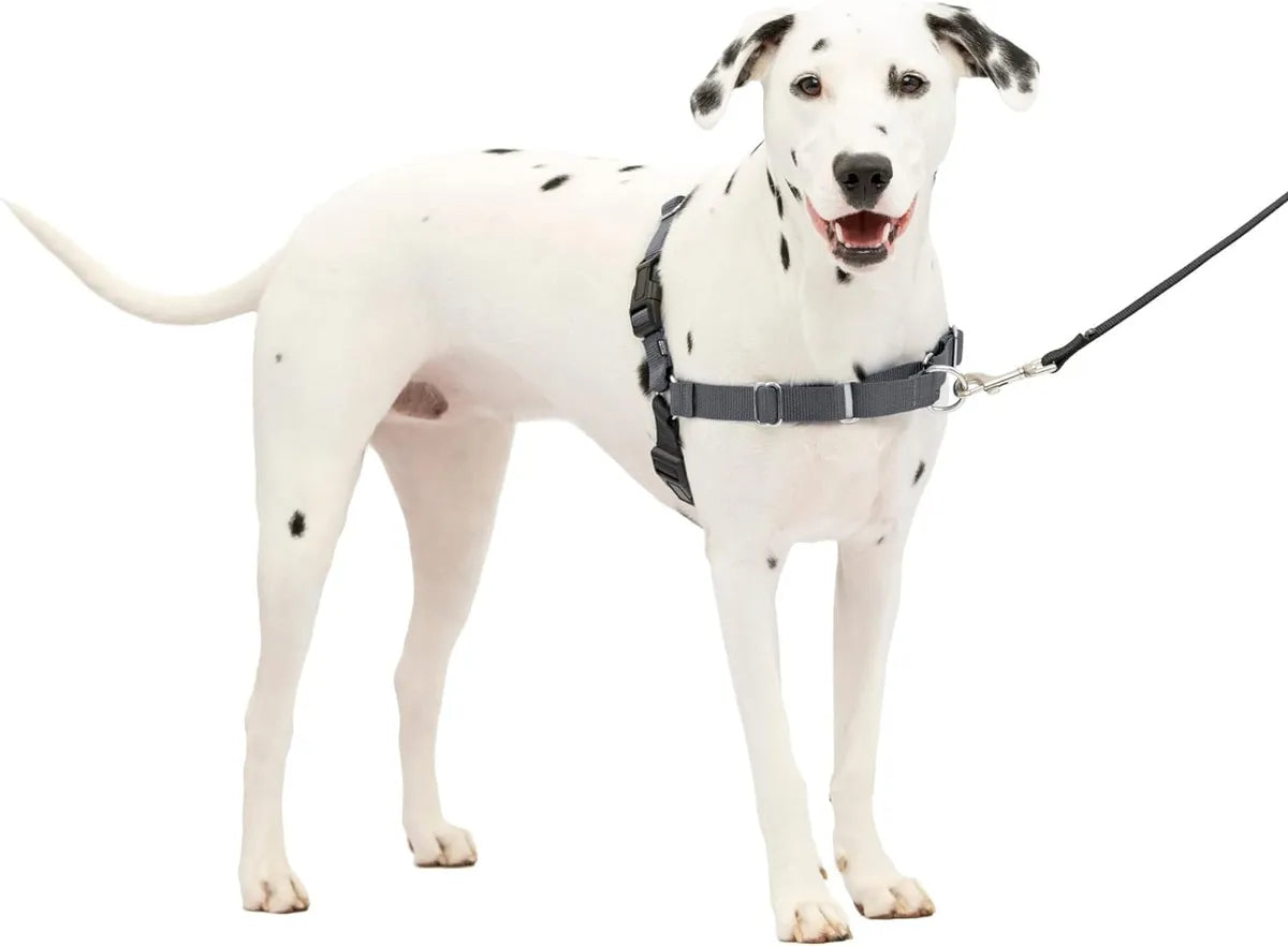  Premium No-Pull Dog Harness with Leash | Adjustable & Comfortable Petspalz