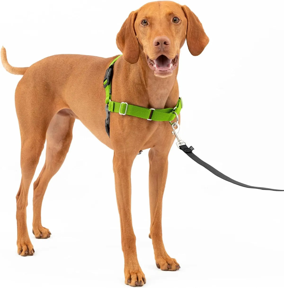  Premium No-Pull Dog Harness with Leash | Adjustable & Comfortable Petspalz