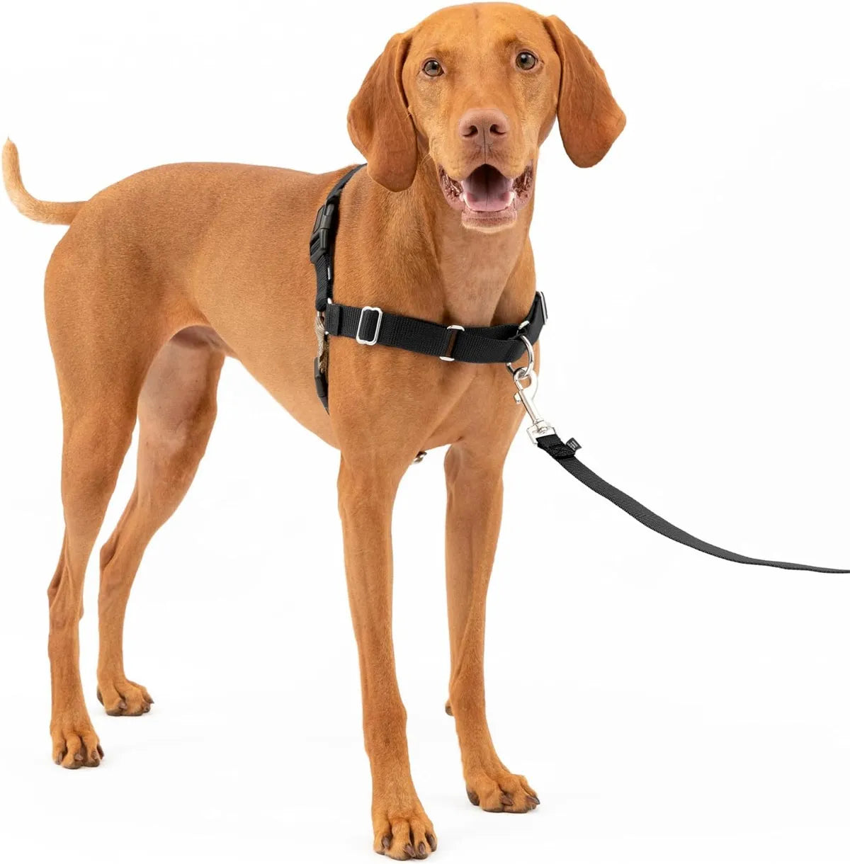  Premium No-Pull Dog Harness with Leash | Adjustable & Comfortable Petspalz
