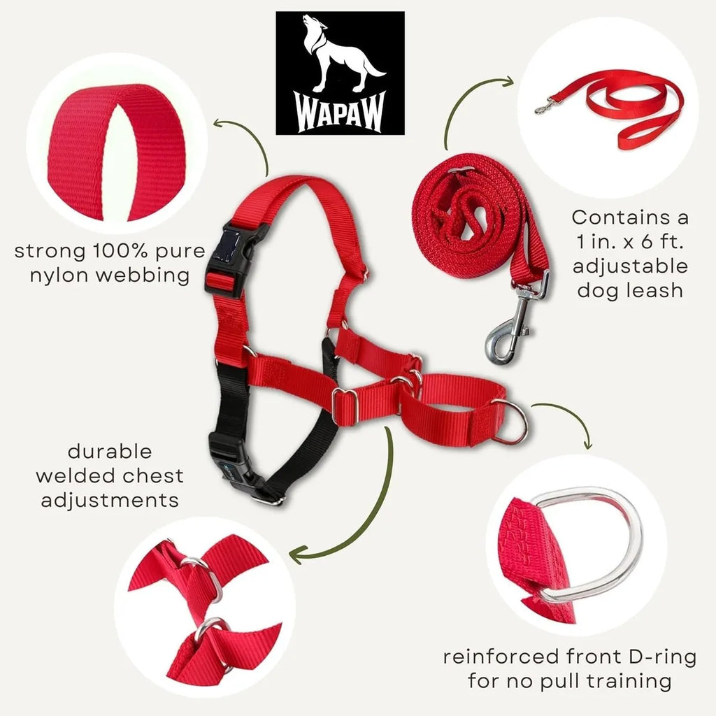  Premium No-Pull Dog Harness with Leash | Adjustable & Comfortable Petspalz