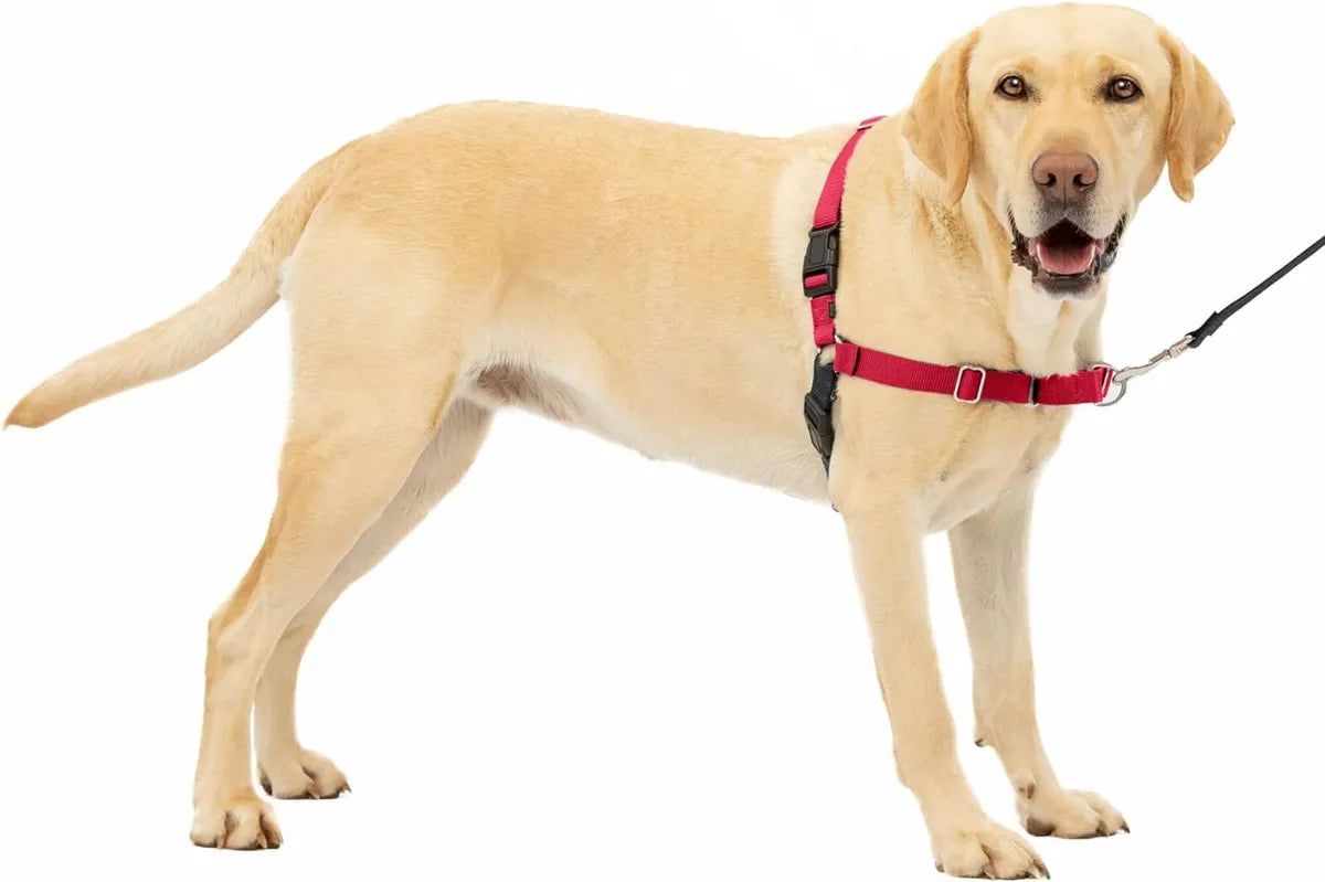  Premium No-Pull Dog Harness with Leash | Adjustable & Comfortable Petspalz
