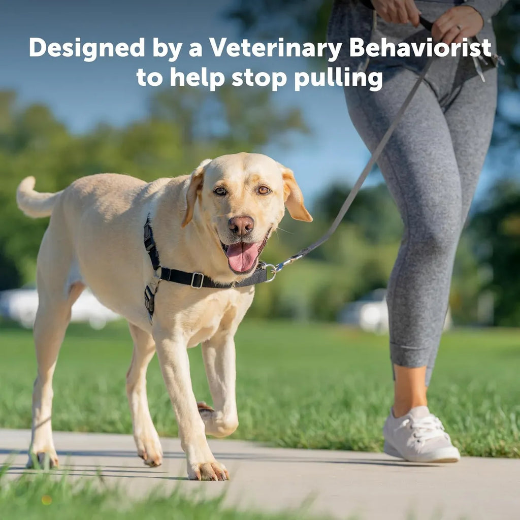  Premium No-Pull Dog Harness with Leash | Adjustable & Comfortable Petspalz