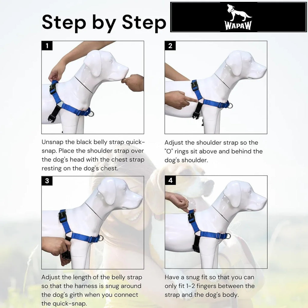  Premium No-Pull Dog Harness with Leash | Adjustable & Comfortable Petspalz