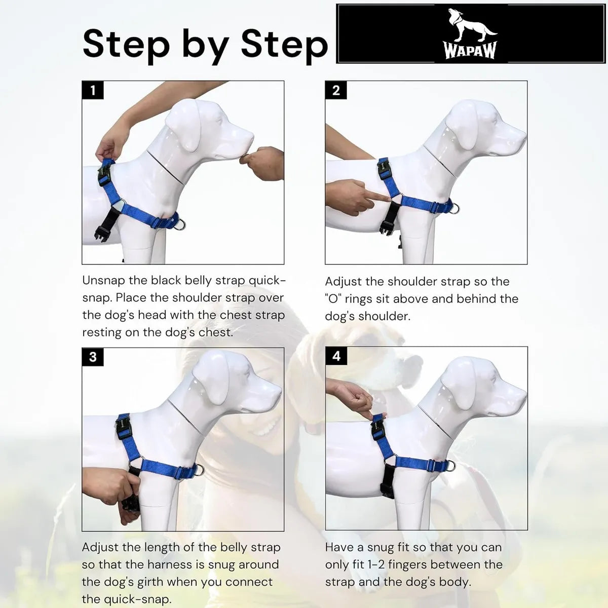  Premium No-Pull Dog Harness with Leash | Adjustable & Comfortable Petspalz