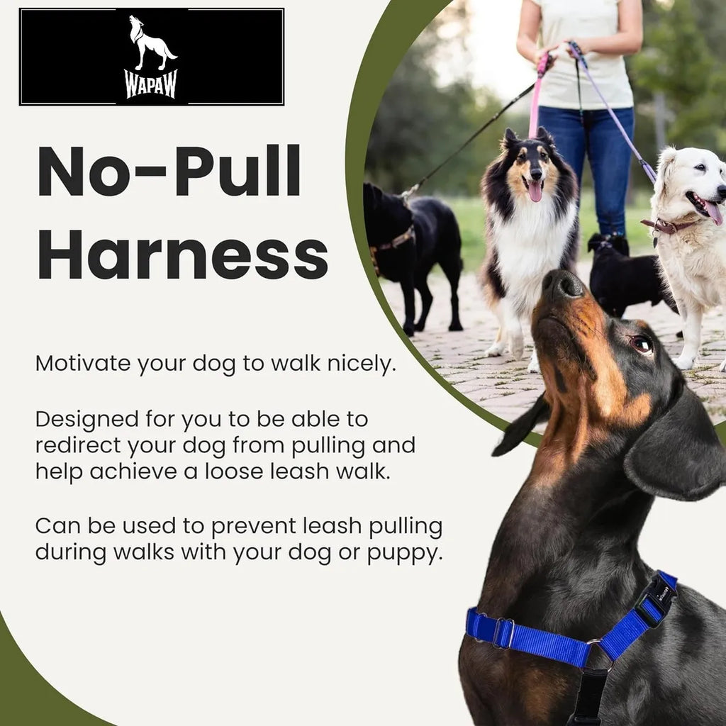  Premium No-Pull Dog Harness with Leash | Adjustable & Comfortable Petspalz