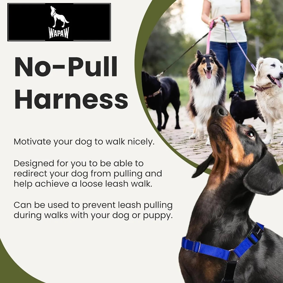  Premium No-Pull Dog Harness with Leash | Adjustable & Comfortable Petspalz