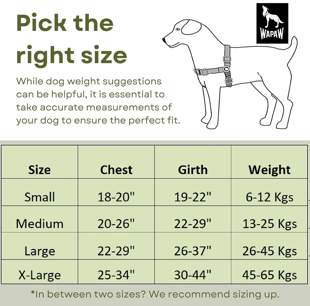  Premium No-Pull Dog Harness with Leash | Adjustable & Comfortable Petspalz