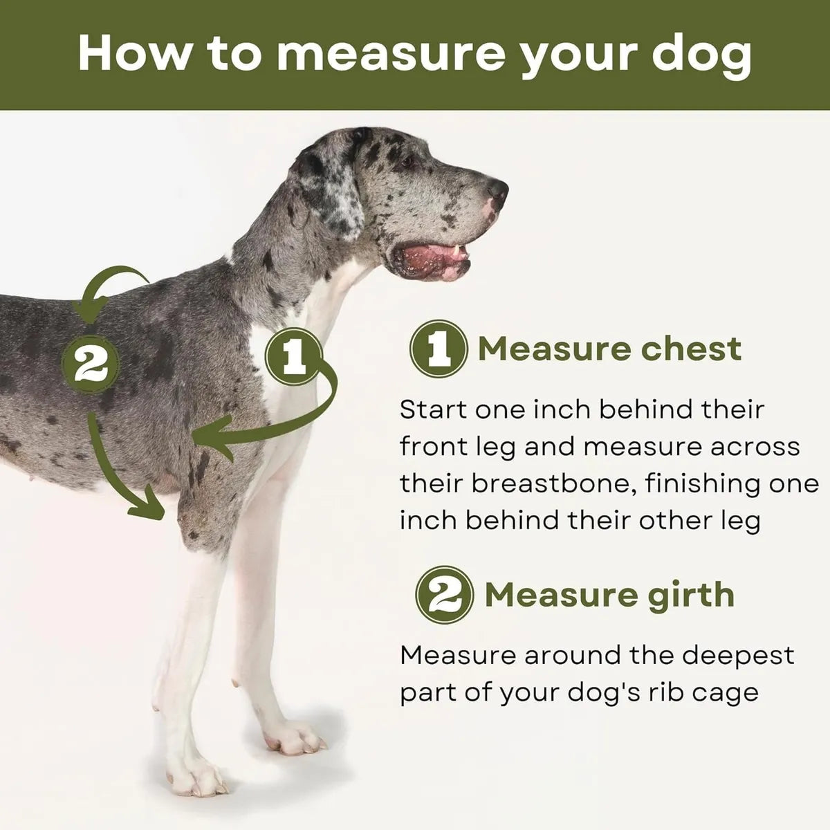  Premium No-Pull Dog Harness with Leash | Adjustable & Comfortable Petspalz
