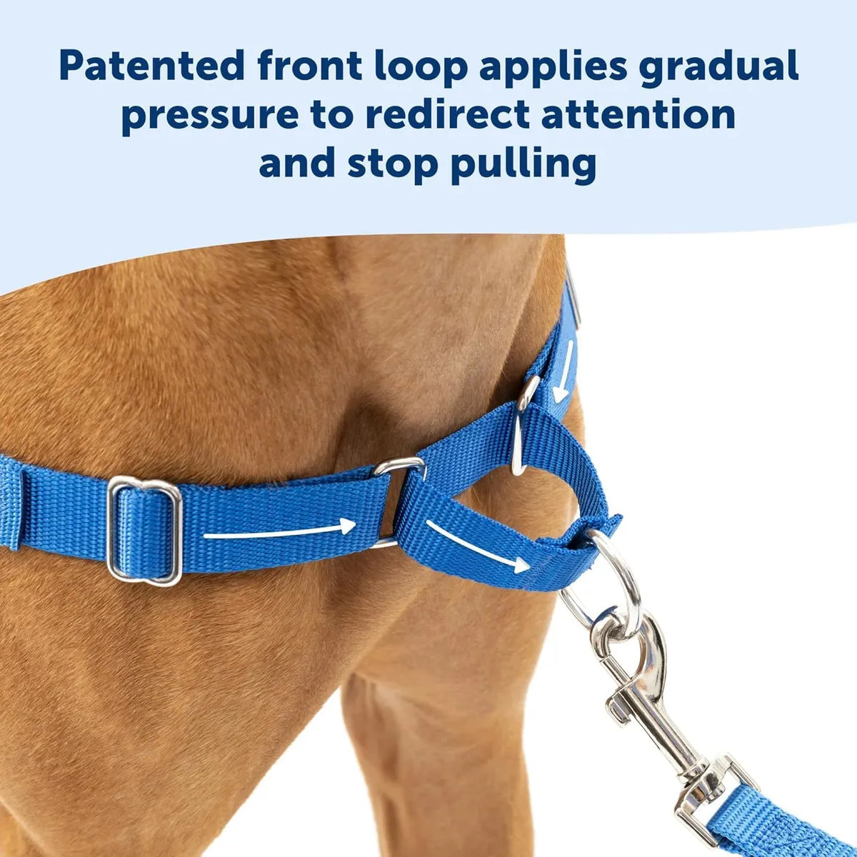  Premium No-Pull Dog Harness with Leash | Adjustable & Comfortable Petspalz