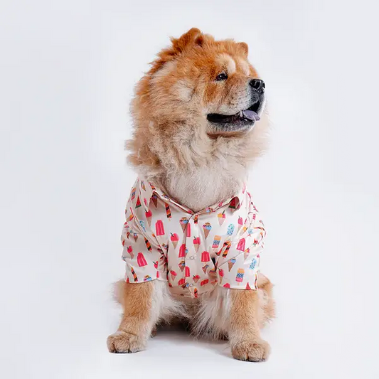  Printed Shirts for Dogs | Latest Collection and Designs Petspalz