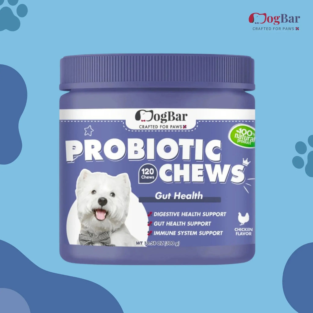  Probiotics for dogs Probiotic Chews for Dogs, Chicken Flavour Petspalz
