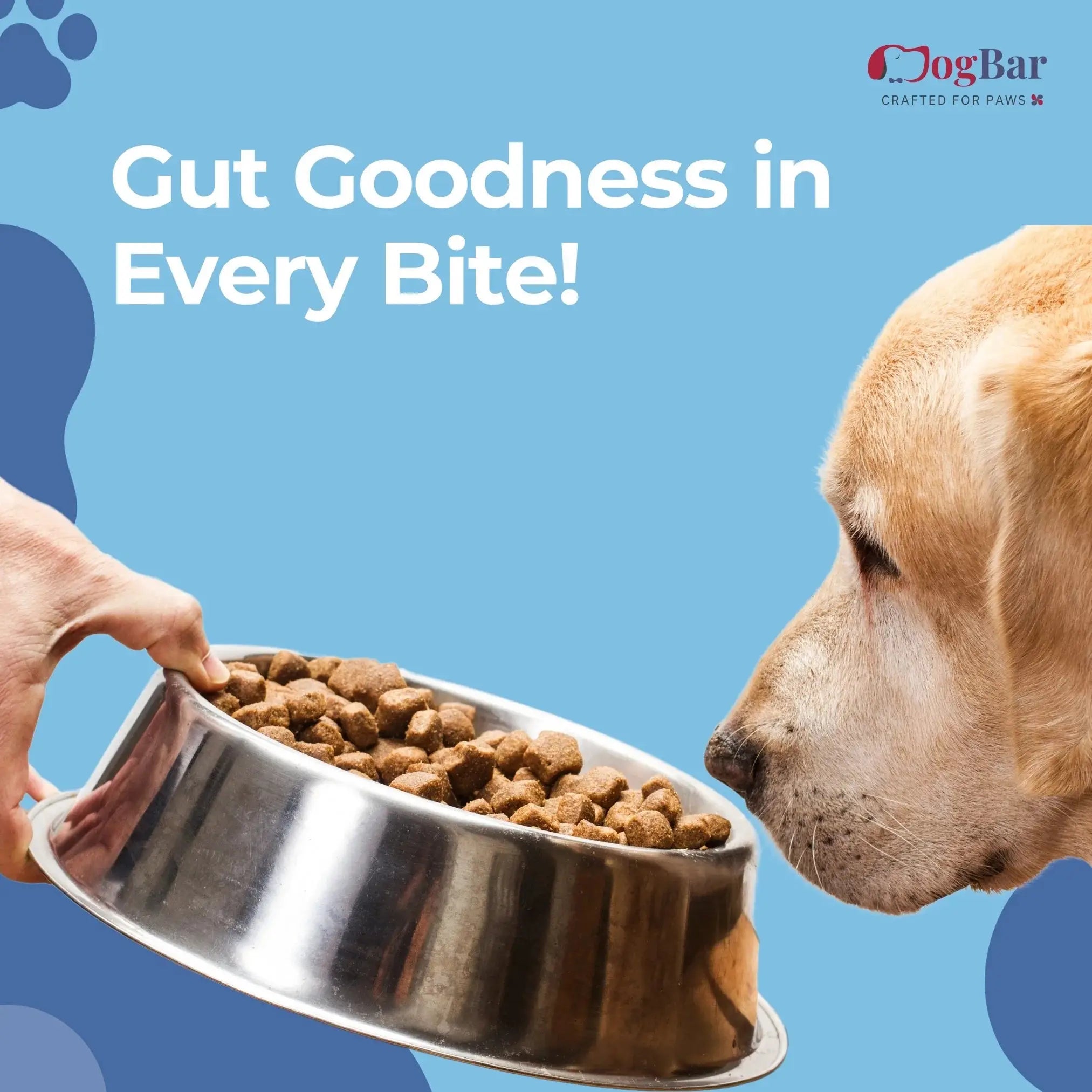  Probiotics for dogs Probiotic Chews for Dogs, Chicken Flavour Petspalz