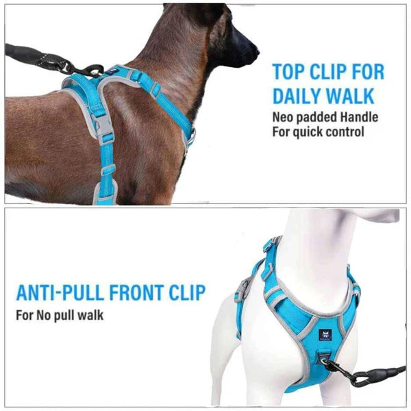  Reflective Dog Harness | Sky Blue Petspalz