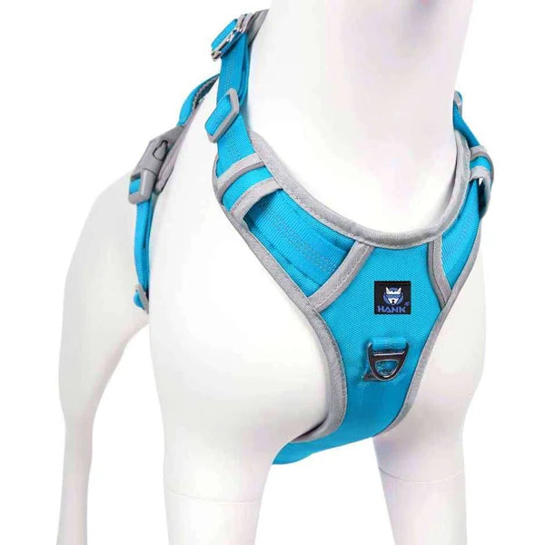  Reflective Dog Harness | Sky Blue Petspalz