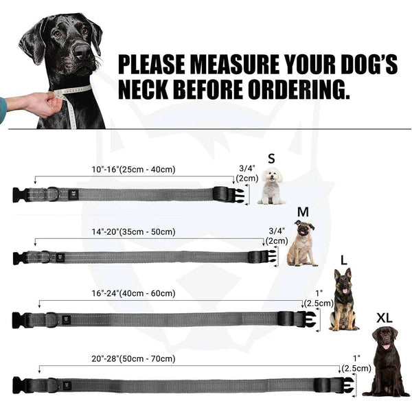 Petspalz