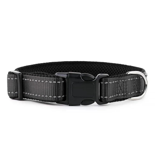 Black dog collar with a metallic buckle on a white background