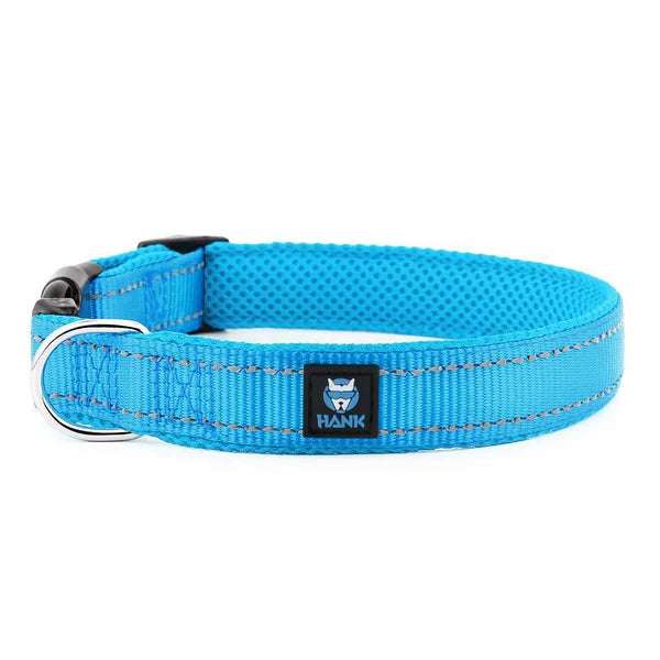Cyan blue Reflective Adjustable Dog Collar for Night Safety