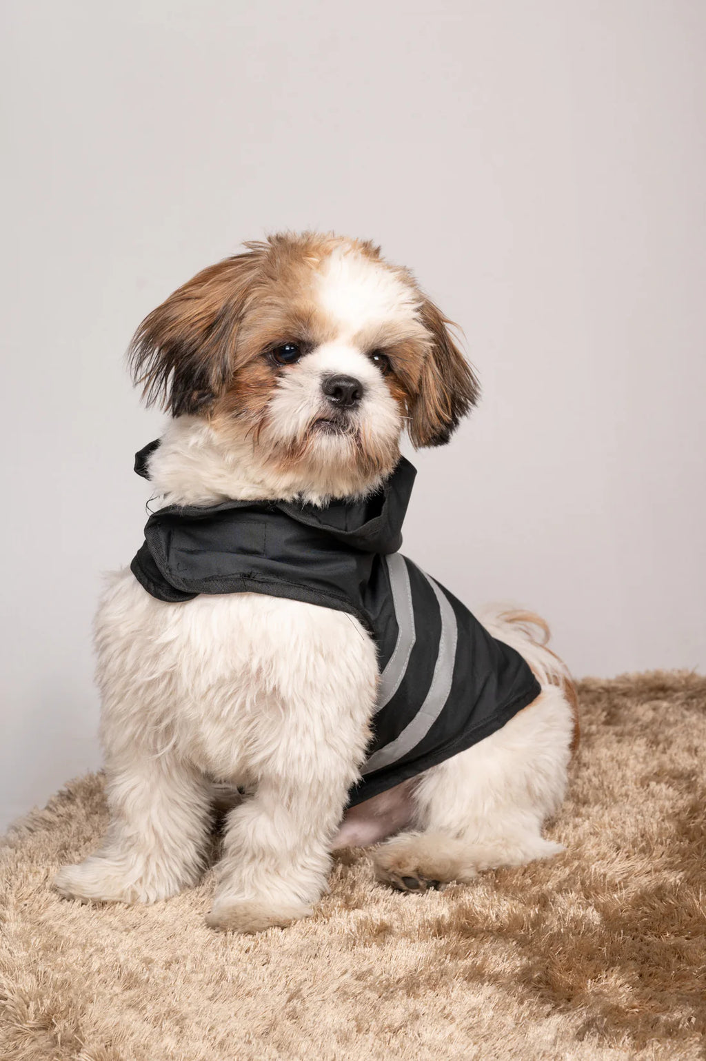 Reflective Dog Raincoat – Waterproof Pet Jacket in Black