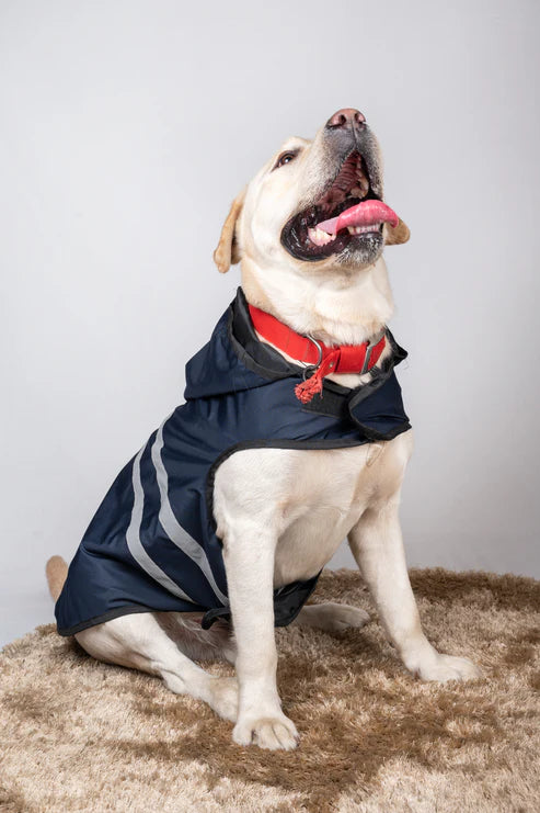 Reflective Dog Raincoat – Waterproof Pet Jacket in Navy Blue
