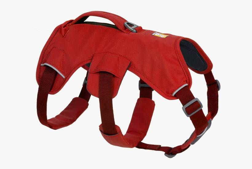  Ruffwear WebMaster Harness - Multi-Use Harness  Petspalz