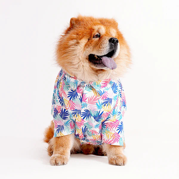 Shop Printed shirts For dogs online : petspalz