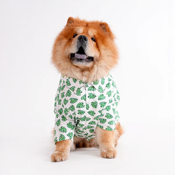 Shop Printed shirts For dogs online : petspalz