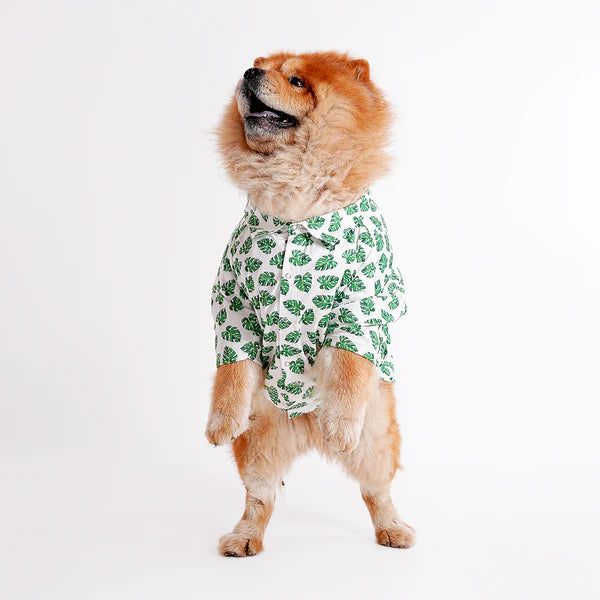 Shop Printed shirts For dogs online : petspalz