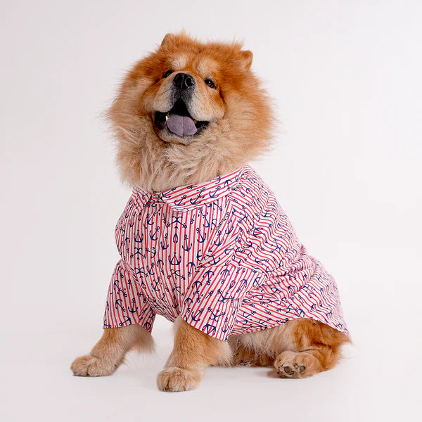 Shop Printed shirts For dogs online : petspalz