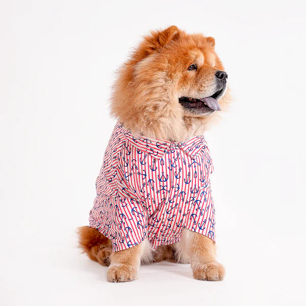 Shop Printed shirts For dogs online : petspalz