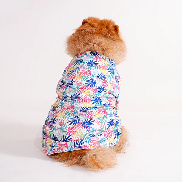 Shop Printed shirts For dogs online : petspalz