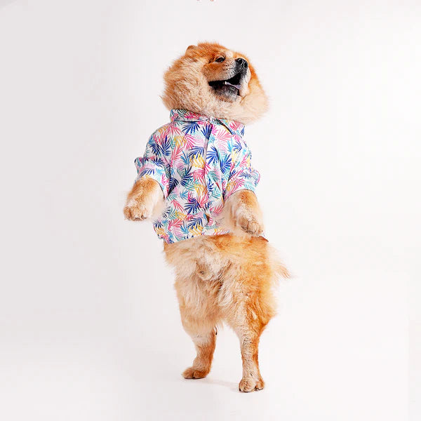 Shop Printed shirts For dogs online : petspalz