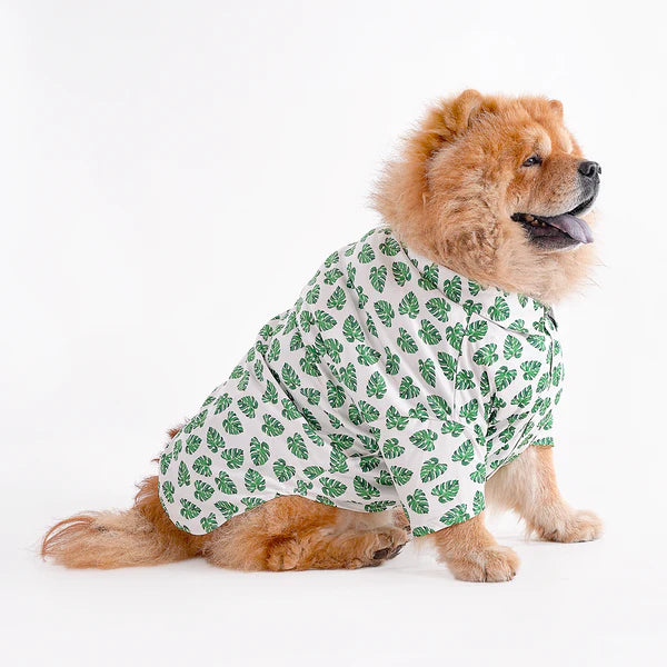 Shop Printed shirts For dogs online : petspalz_7