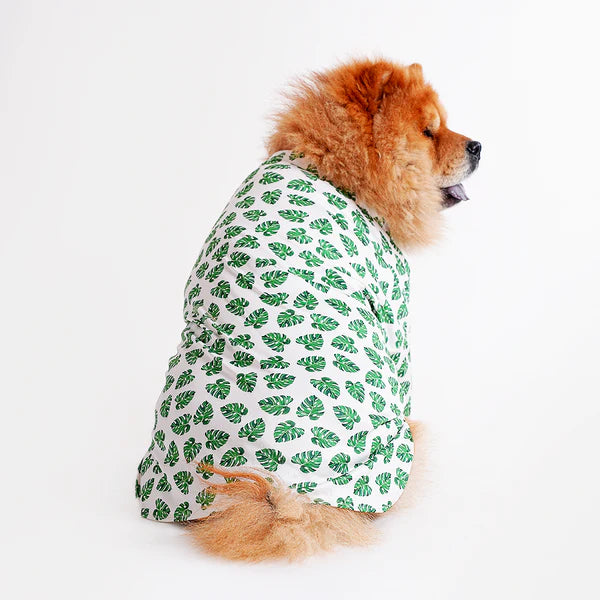 Shop Printed shirts For dogs online : petspalz