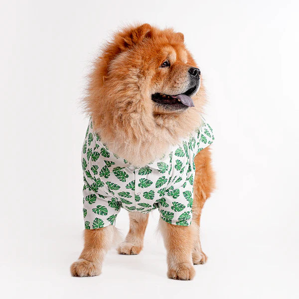 Shop Printed shirts For dogs online : petspalz_9