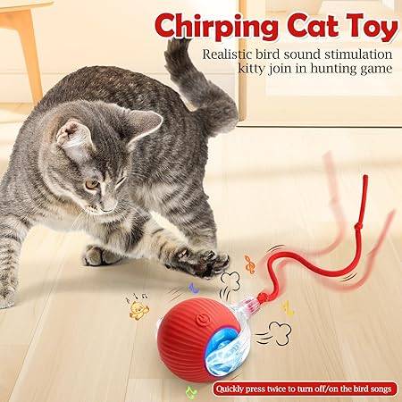  Automatic Smart Cat Ball Toy | Best Interactive Toy for Cats Petspalz