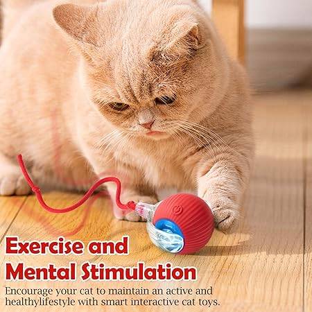  Automatic Smart Cat Ball Toy | Best Interactive Toy for Cats Petspalz
